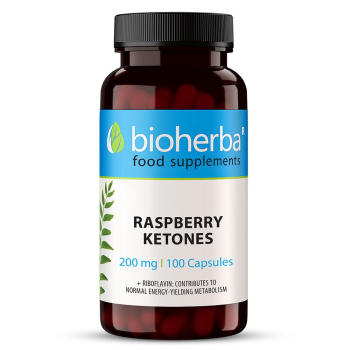 Малинови кетони за контрол на теглото, изгаряне на мазнини, Bioherba, 200 мг, 100 капсули