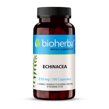 Ехинацея - за имунитет и при грип, настинка, Bioherba, 210 мг, 100 капсули