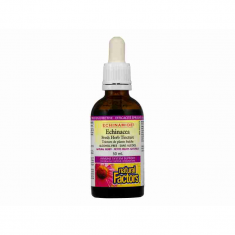 Natural Factors Ехинамид Ехинацея® 1000 mg /без алкохол/ Билкова тинктура с натурален плодов аромат 50 ml