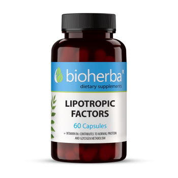 Липотропни фактори, Bioherba, 60 капсули