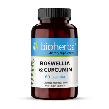 Босвелия и Куркумин, Bioherba, 60 капсули