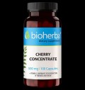 Cherry Concentrate 500 mg