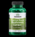 Agaricus Blazei Mushroom Extract 500 mg