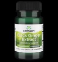 Black Ginger Extract 100 mg