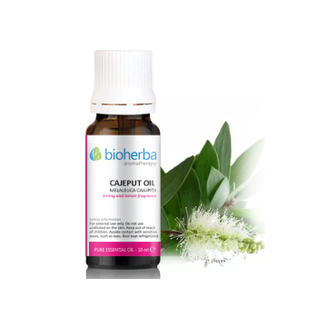 Етерично масло от Каепут (Cajeput oil), Bioherba, 10 мл