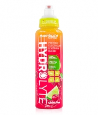 EVERBUILD HydroLyte / 400 ml