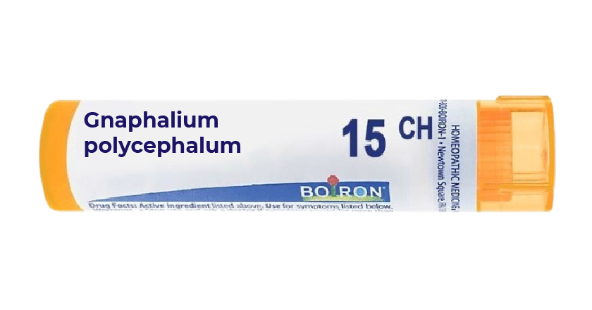 BOIRON GNAPHALIUM POLYCEPHALUM 15CH