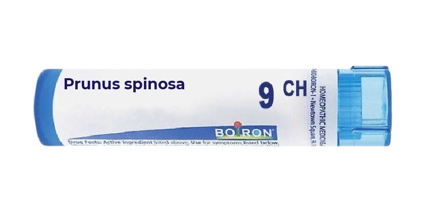 BOIRON PRUNUS SPINOSA 9CH
