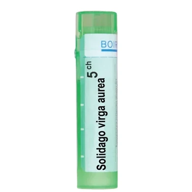 SOLIDAGO VIRGA AUREA 5 CH