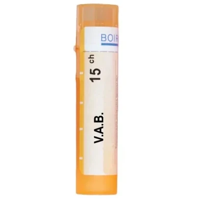 VAB 15CH
