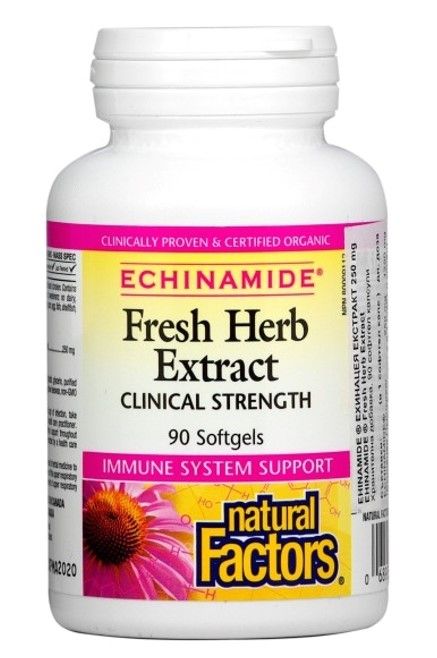 Natural Factors Echinamide Fresh Herb Extract за имунната и дихателната системи 250 мг х 90 софтгел капсули